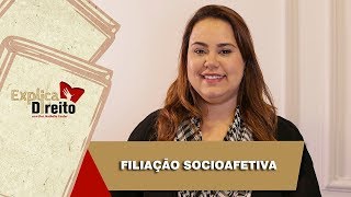 Explica Direito Filiação Socioafetiva  2019 [upl. by Dorey]