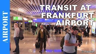 TRANSIT WALK AT FRANKFURT Airport FRA Terminal 1  Connection Flight Transfer Arriving amp Departing [upl. by Sprage231]